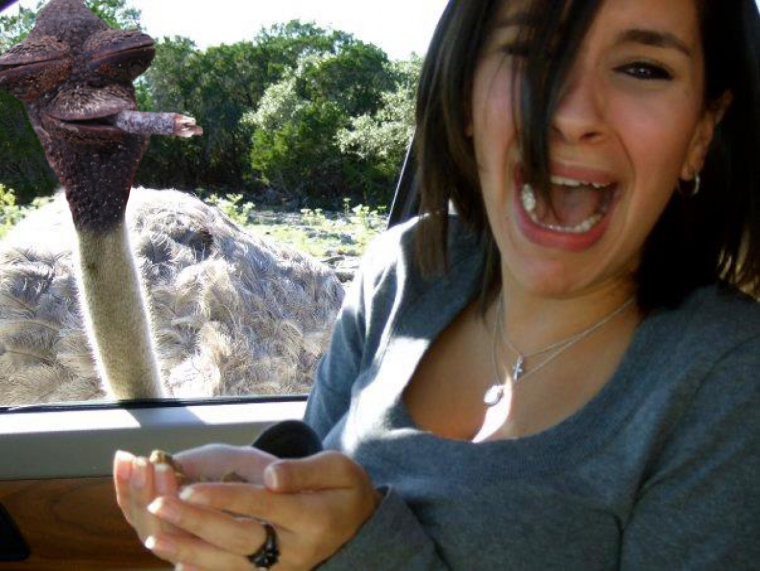 Женщина на страусе