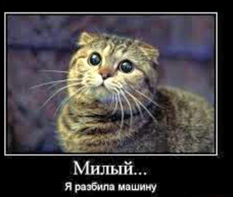 Смешные матершинные фразы