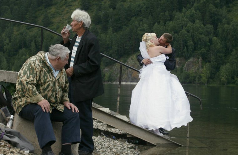 Куры на свадьбе