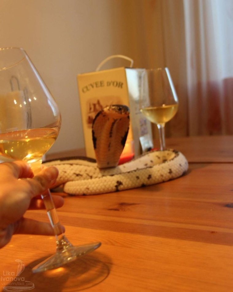 Идеи для свадебной фотосессии