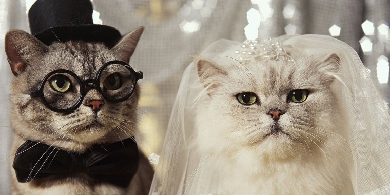 Свадебный торт прикольный