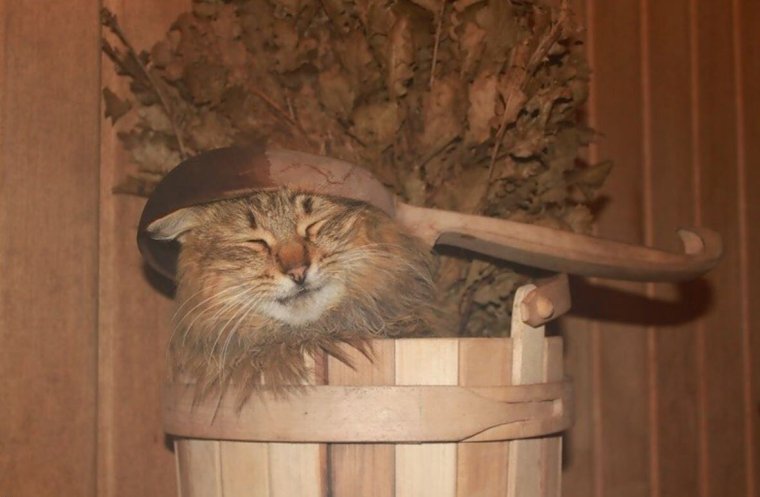 Смешная баня