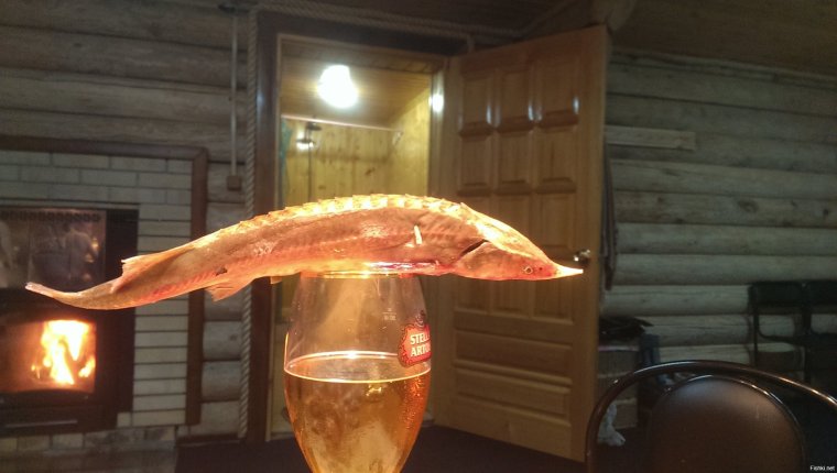 Пиво в бане