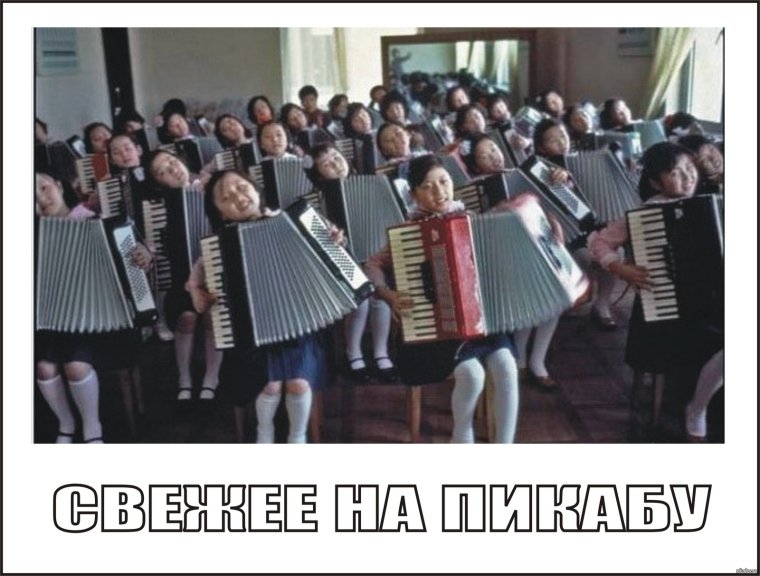 Баян демотиватор