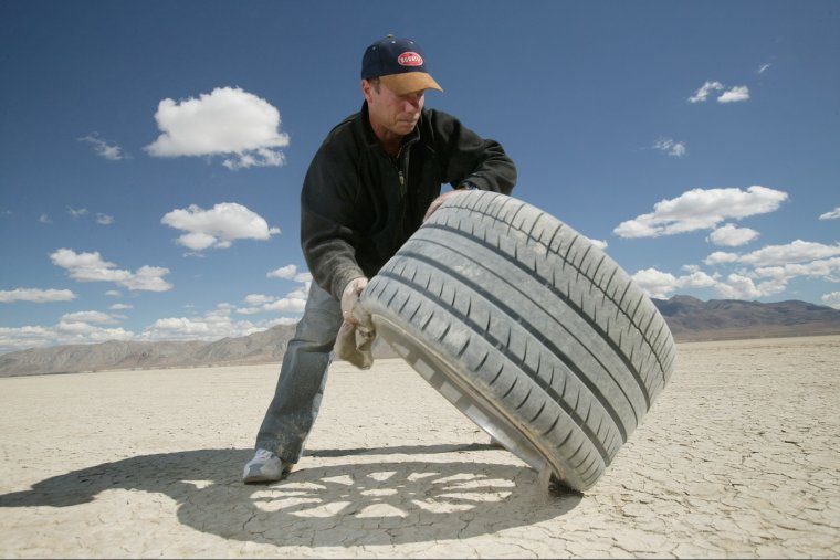 Шины летние прикольные