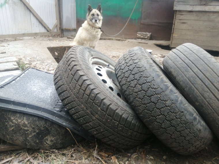 Зимние шины юмор