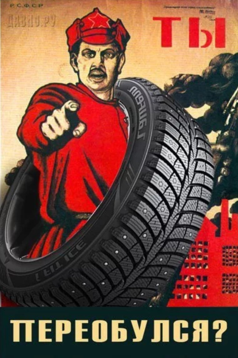 Шины смешные