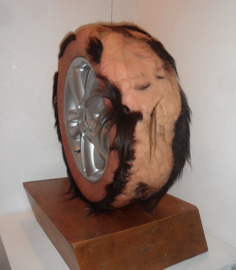 Колеса прикол