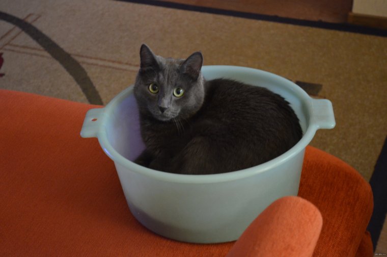 Ванна прикол