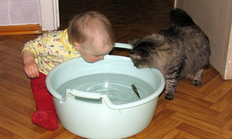 Дети и коты приколы