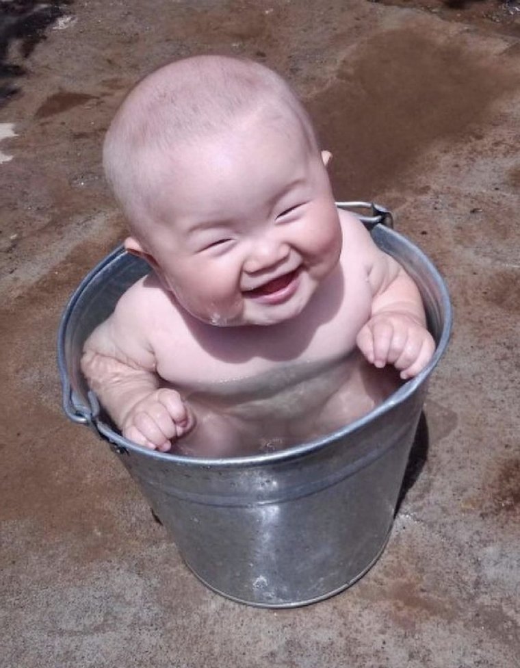 Тузик прикол