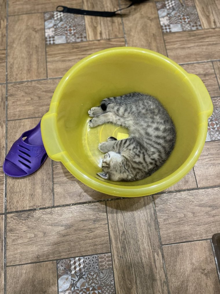 Бухло в ванной