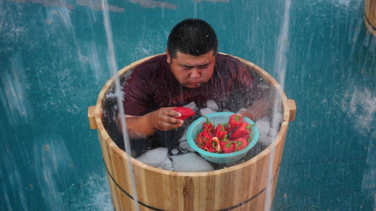 Кот сидит в тазике