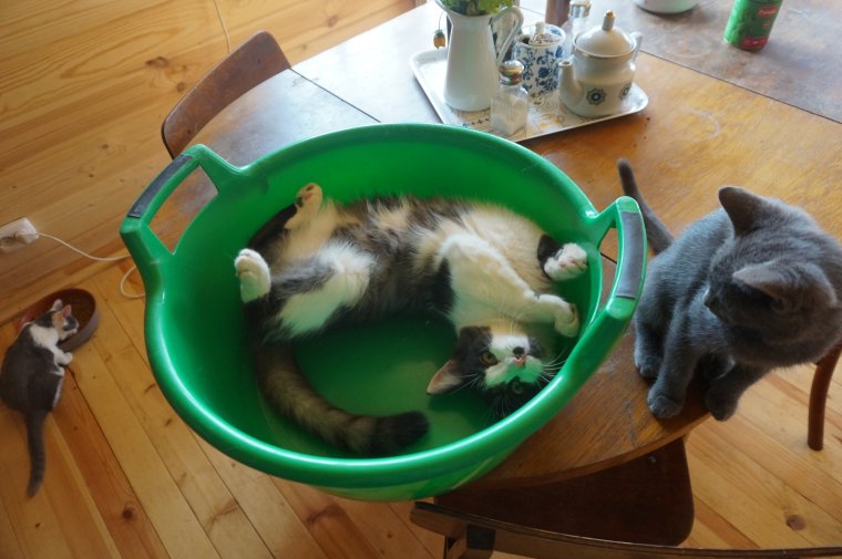 Набирает воду в дырявое ведро