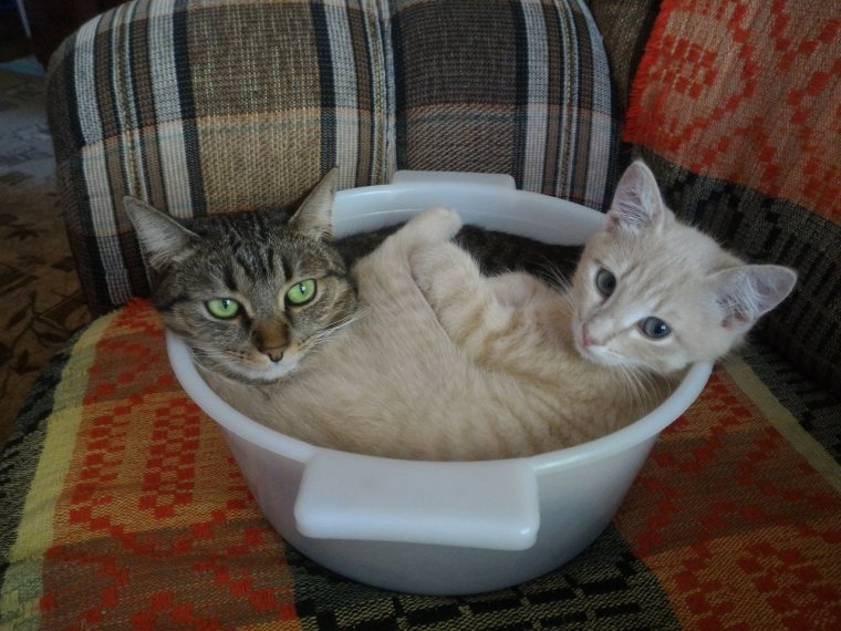 Отключили горячую воду