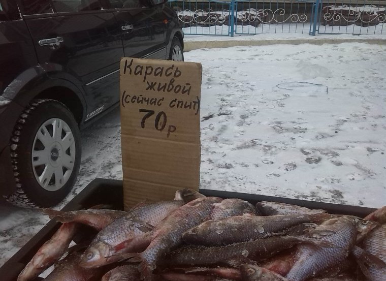 Карась с сигаретой