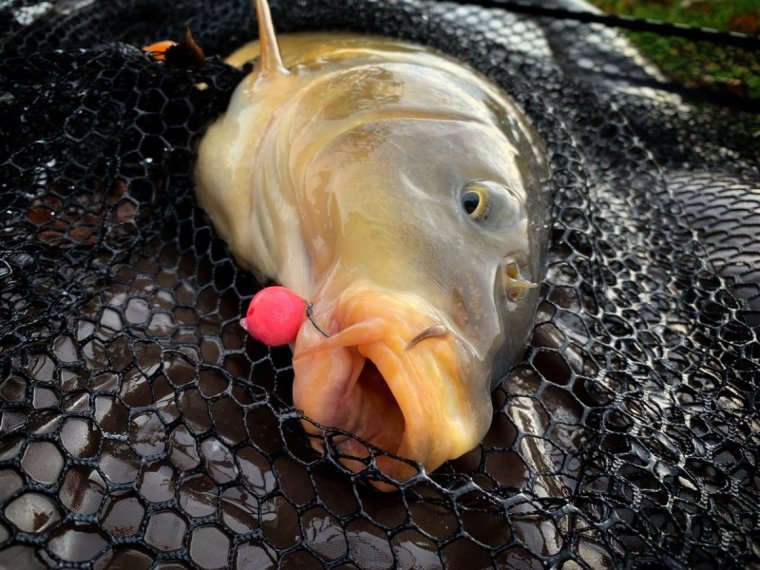 Курящая рыба