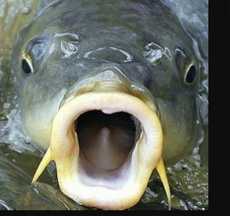 Lay's «зеленый лук» 90 гр