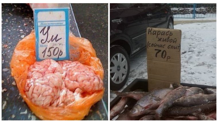 Большеносый Ковровый горбыль