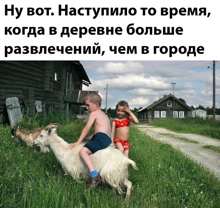 Смешное лето в деревне