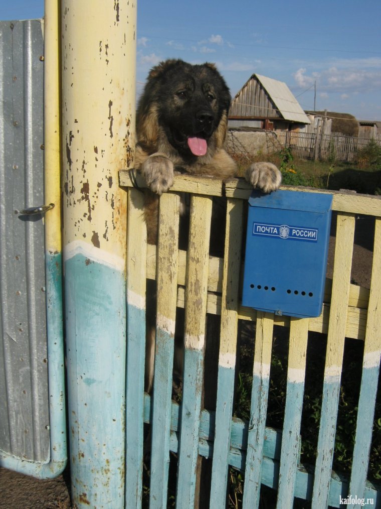 Смешные деревни