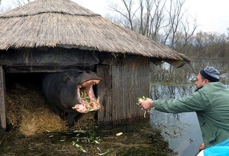 Приколы про деревню