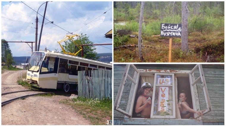 Лето в деревне приколы