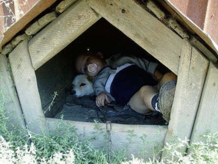 Девочка в будке