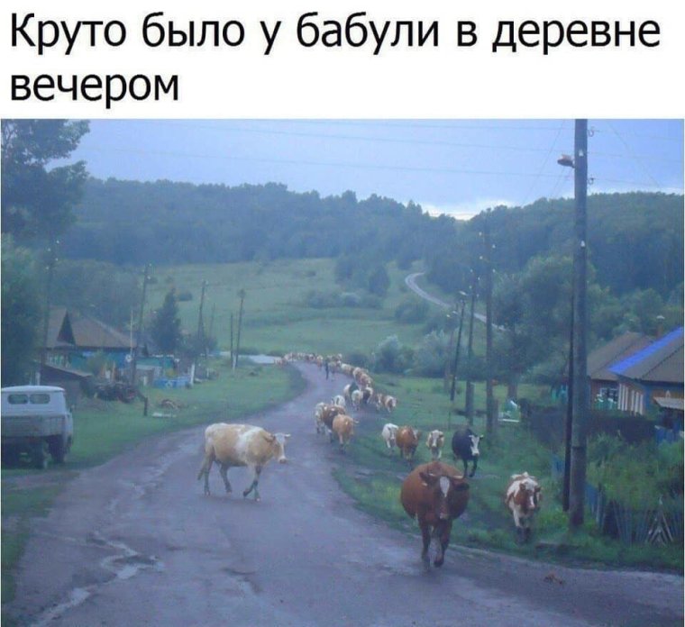 Мемы про деревню к бабушке