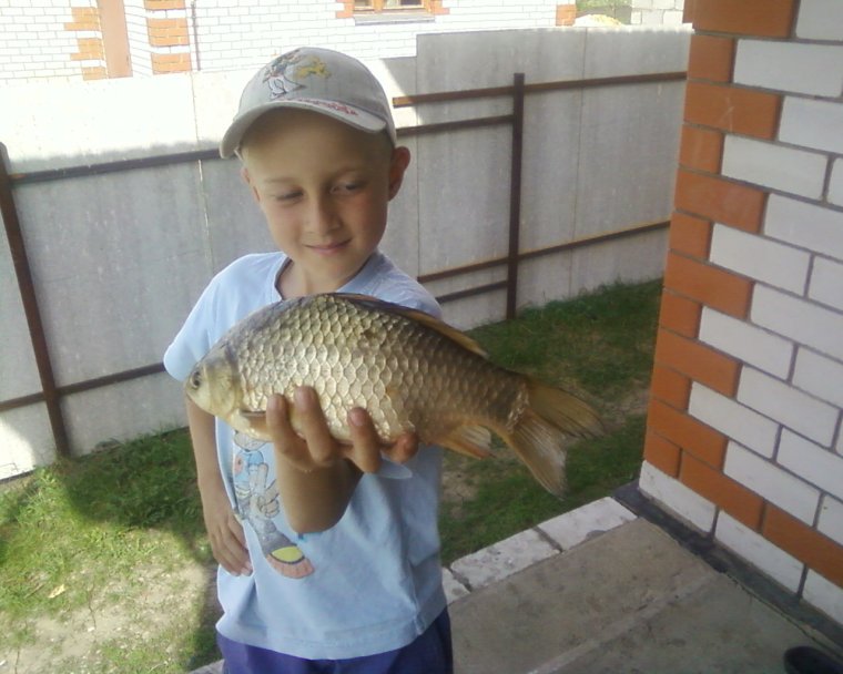 Рыба прикольная в очках