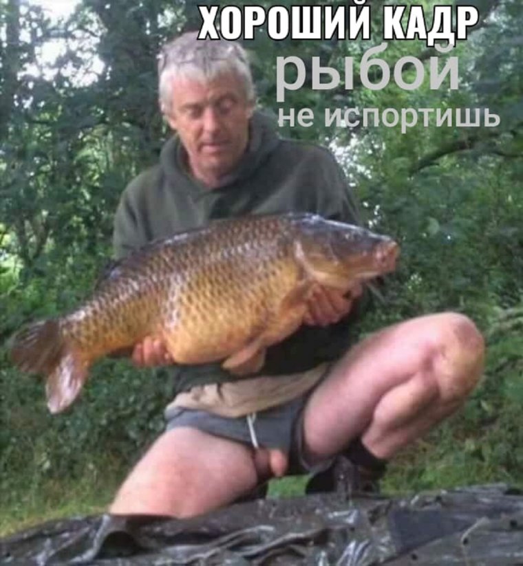 Овба с человеческим лицом