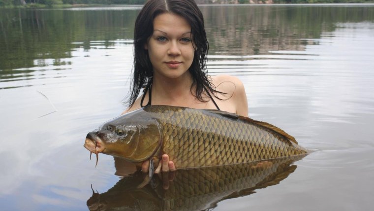 Смешной карась