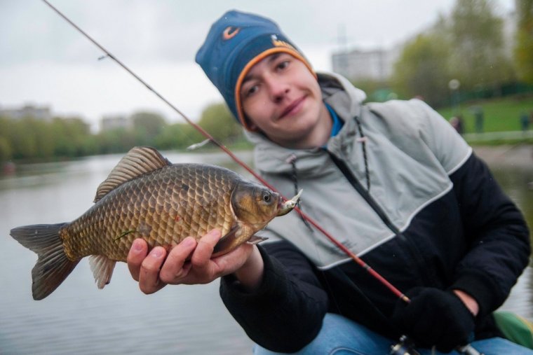 Волжский рамчатый Карп