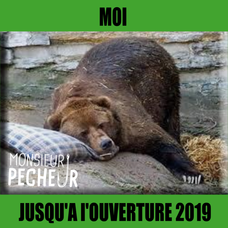 Пьяный медведь спит