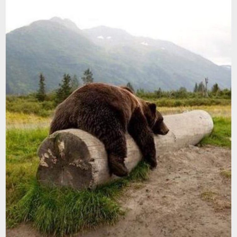 Уставший мишка