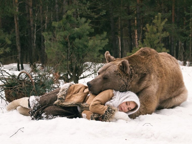 Медведь в лесу прикол