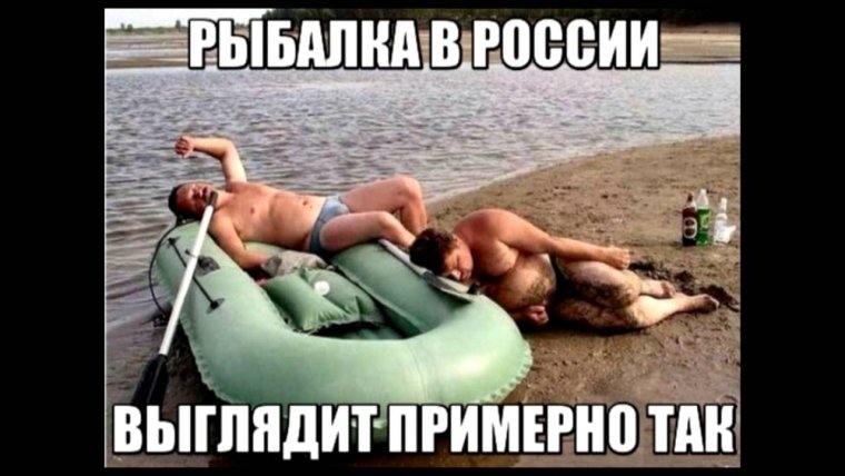 Ты это давай иди нахуй конь