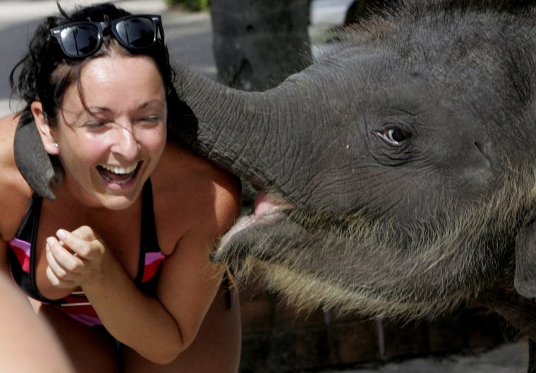 Смешные люди и животные