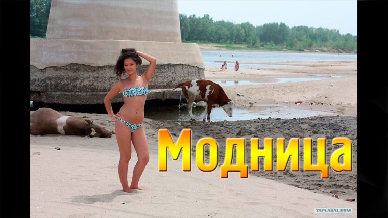 Обезьяны дайте мне спокойно