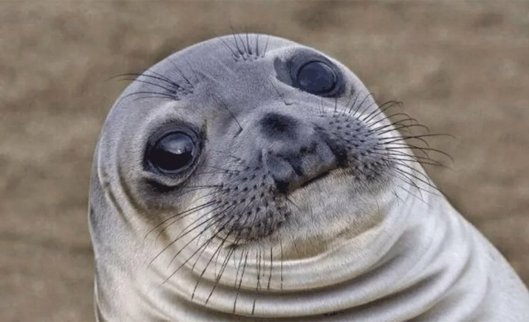 Медведь в кокошнике