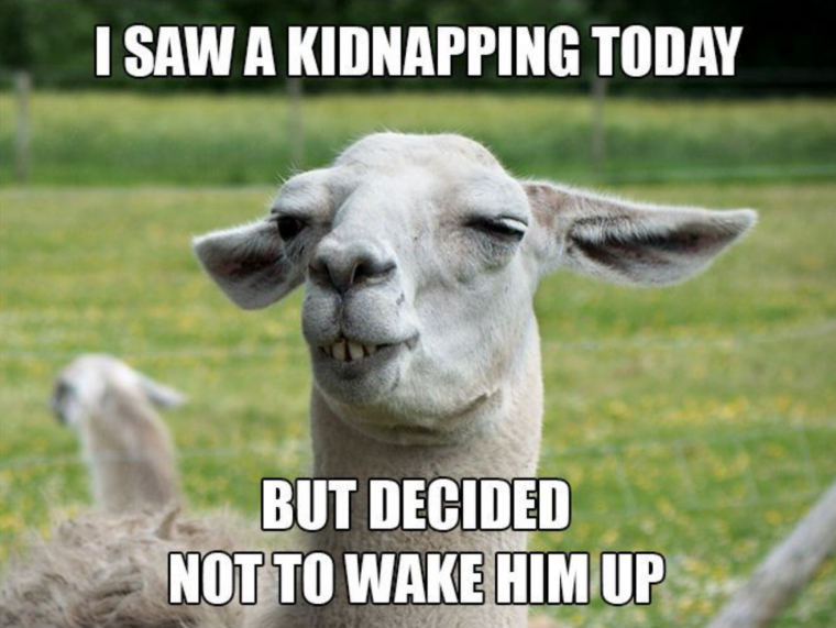 Смешные картинки приколы