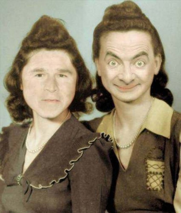 Шутки про дупло