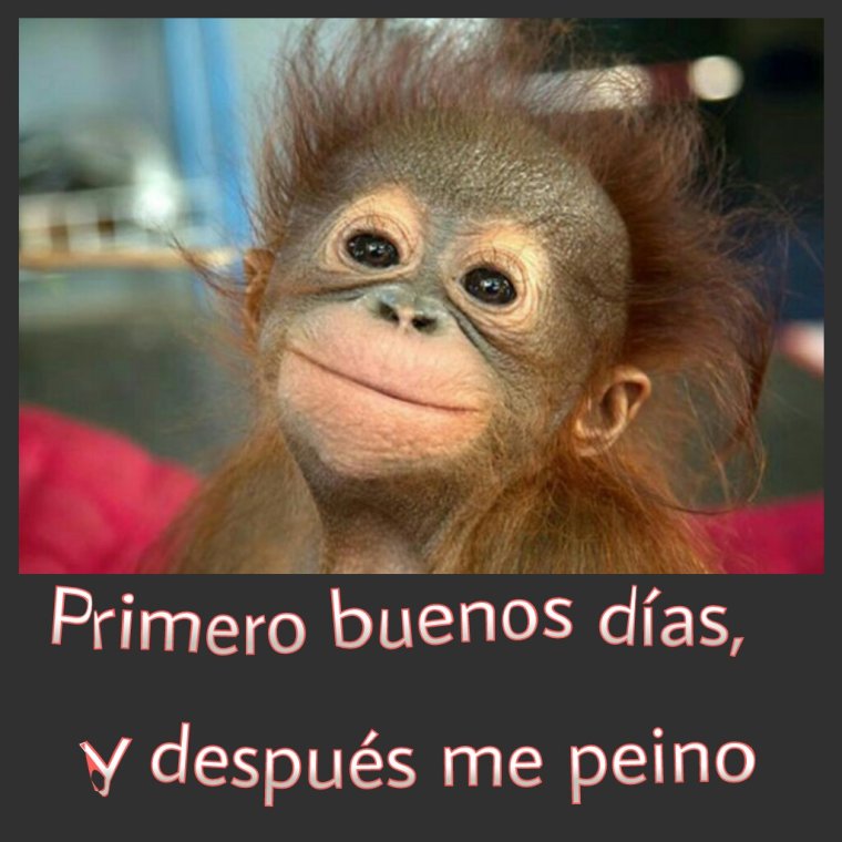 Накрашенная обезьяна