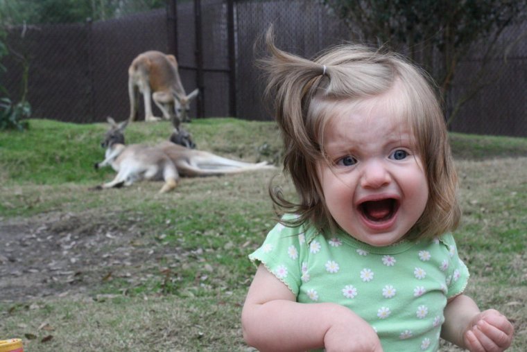 Уродливая лама