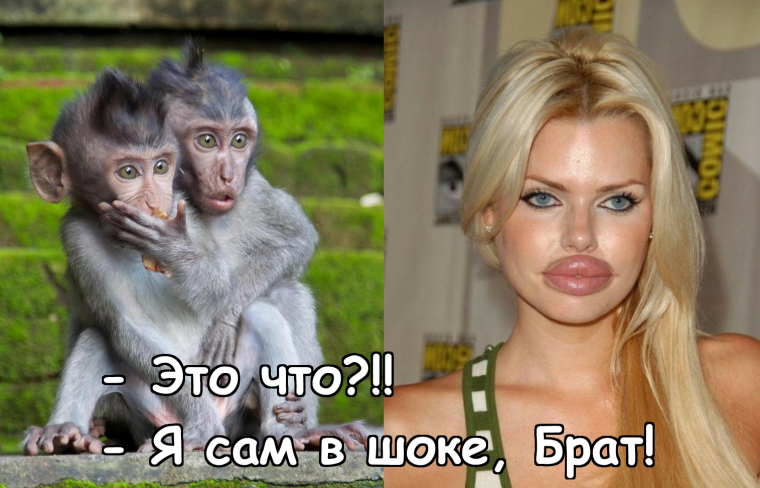 Смешные картинки обхохочешься