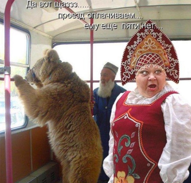 Мемы про занавеску в ванной