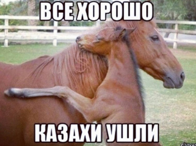 Убойный юмор приколы