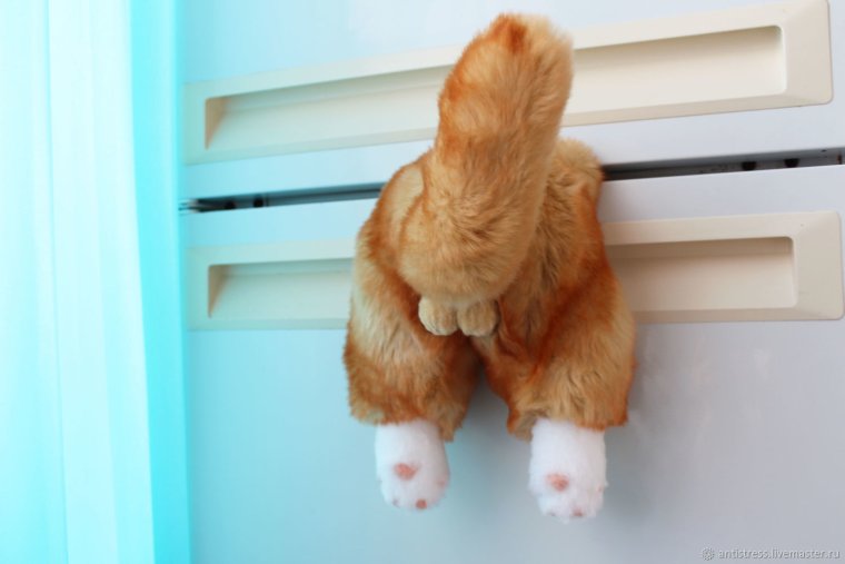 Кот на холодильнике магнитик