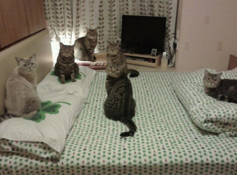 В смысле это твоя кровать