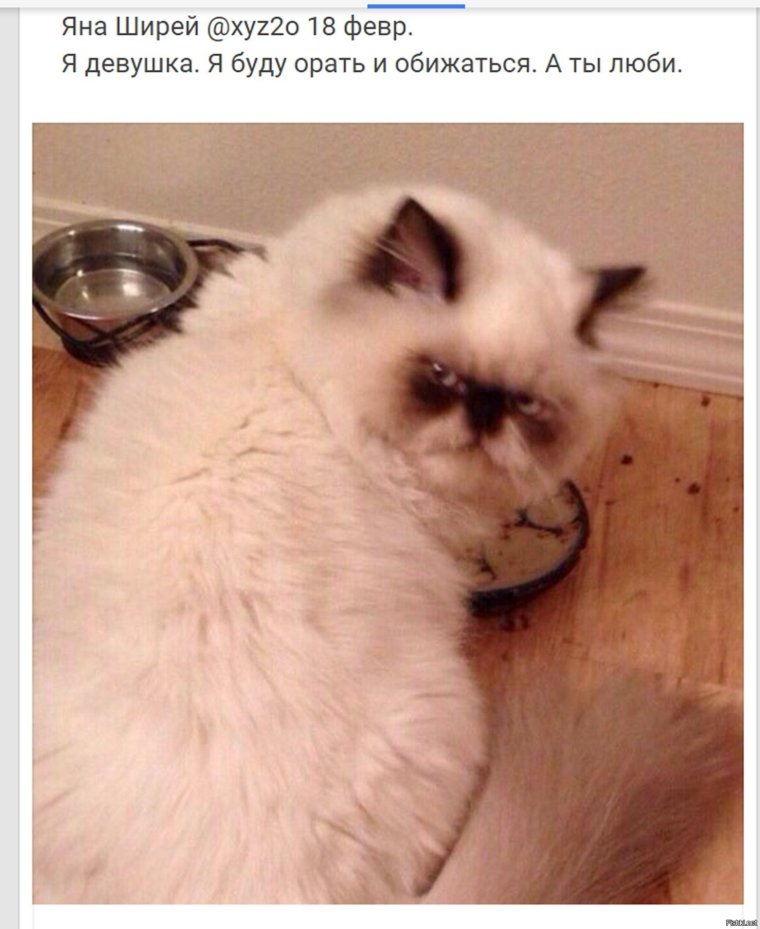 Мемы про настроение